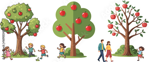 Apple trees illustration, children playing, family walking, fruit garden, healthy lifestyle, outdoor park, nature background, harvest season, educational design, vector