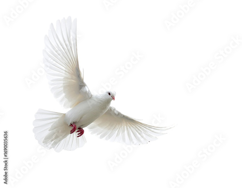 White Dove with Outstretched Wings Descending onto Wooden Cross, Isolated PNG