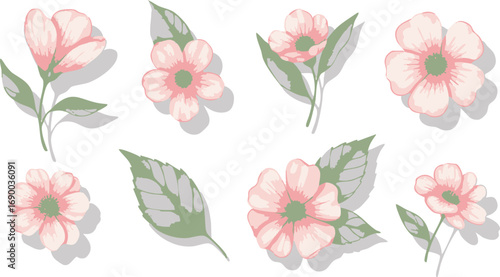 Delicate pink flowers and leaves, botanical illustration, soft shadows, floral design elements.