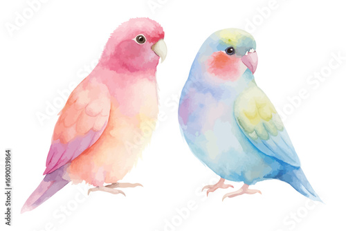 cute Watercolor exotic parrot birds