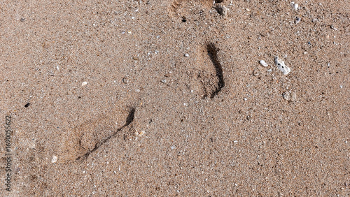 Footprints on wet sandy beach closeup