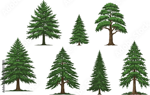 Collection of cartoon pine trees, evergreen forest illustration, green fir trees, nature landscape elements for outdoor, botanical, or seasonal design