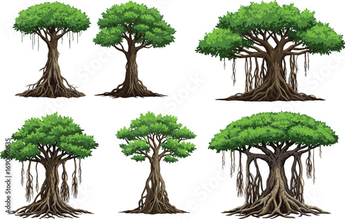 Set of banyan trees with hanging roots, lush green canopy, natural tropical tree illustration, jungle forest flora, nature asset
