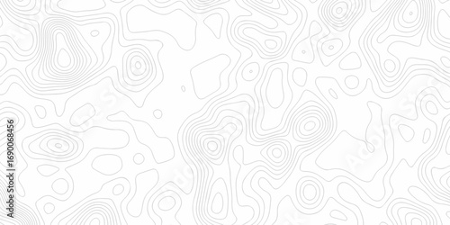 Abstract minimal discovery vector topo map. creative discovery White wave grid stripe topography line map. vector geographic contour mounted map background.	
