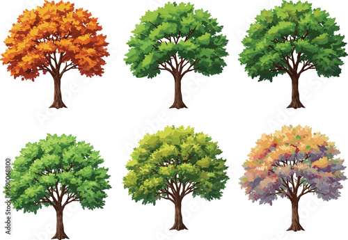 Set of six colorful deciduous trees with green, yellow, orange, and purple foliage, seasonal tree illustrations, nature, forest, autumn clipart