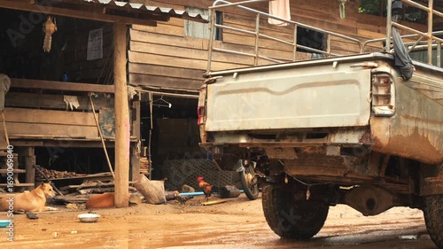 Local Hill Tribe Lifestyle in Chiang Mai Countryside, Wooden Houses and Domestic Animals