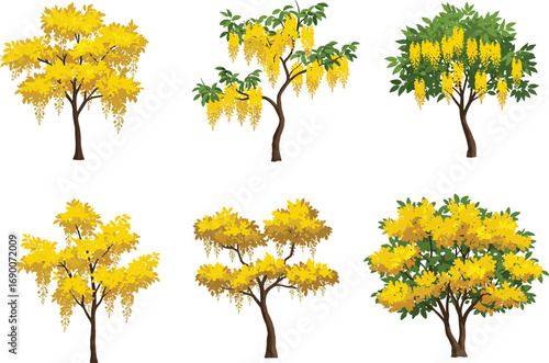 Set of yellow flowering trees with lush green leaves, botanical vector illustration, vibrant nature design, tropical forest plant collection