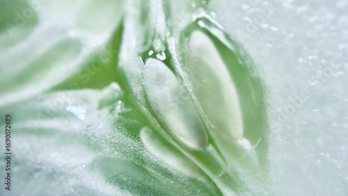 close up of slice cucumber