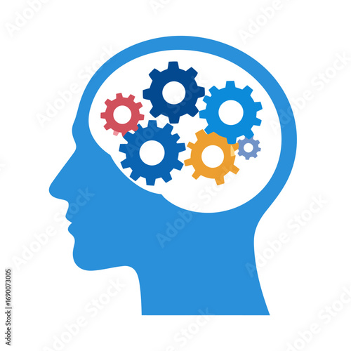 Human Brain Function and Cognitive Processes.