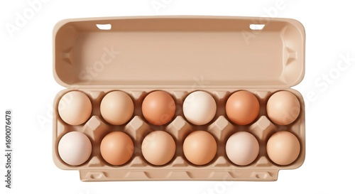 3D vector top view of a dozen eggs in an open carton 