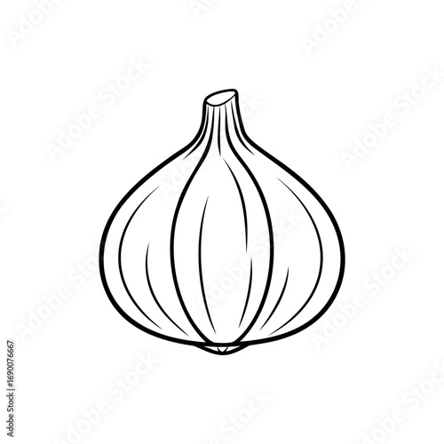 Detailed Black and White Illustration of Garlic, a Healthy Herb Ingredient silhouette vector