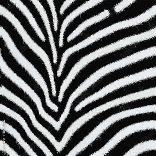 Zebra Fur Texture Close Up with Black and White Stripes Pattern Background, patern seamless, Stock royalty free.