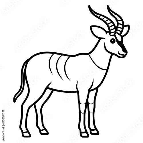 White Saola Vector Line Art