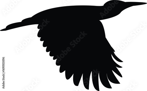 Flying Andean flicker bird Silhouette Design And Vector Illustration. 