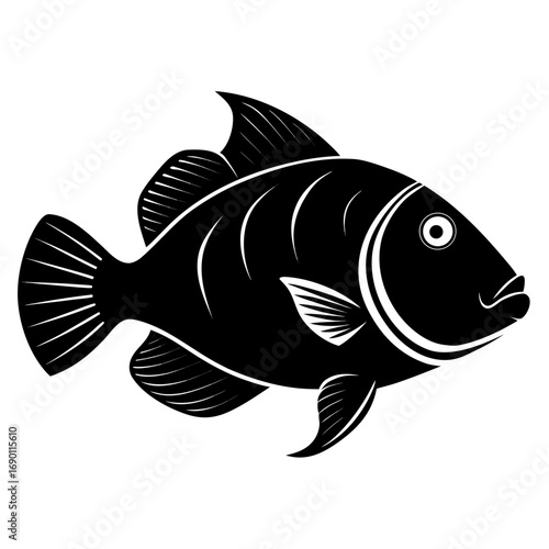 Parrotfish Black Silhouette Vector Illustration on White Background