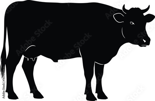 Silhouette of a standing cow side view isolated on white farm animal livestock agriculture cattle silhouette vector