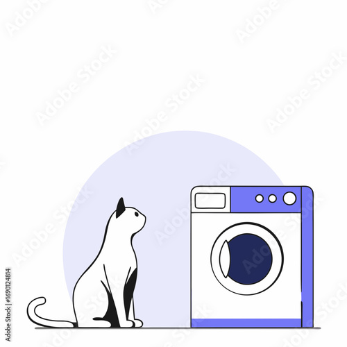 Cat sitting beside washing machine in minimalistic interior  