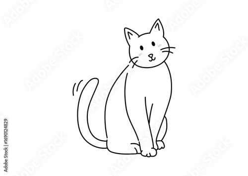 白いねこ White chat