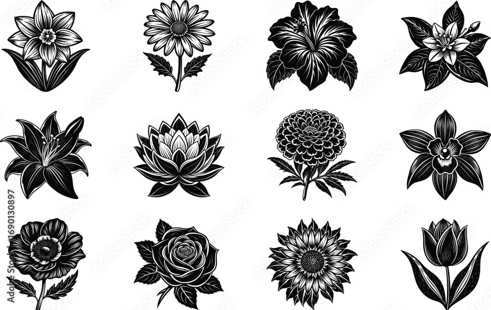 Fototapeta premium Beautiful Black and White Flower Illustrations for Art and Design Inspiration