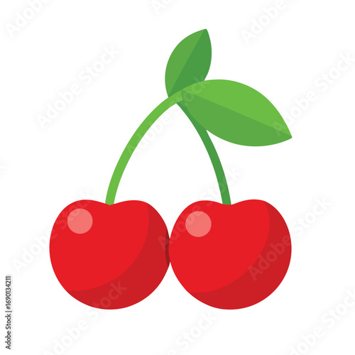 cherries vector illustration