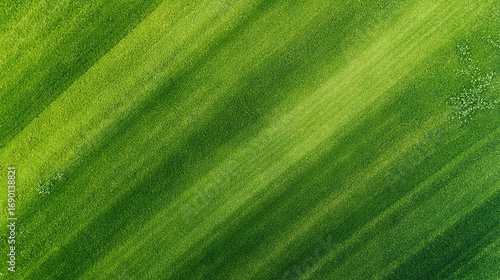 Aerial View of Striped Green Grass Field. Vibrant Nature Texture Background
