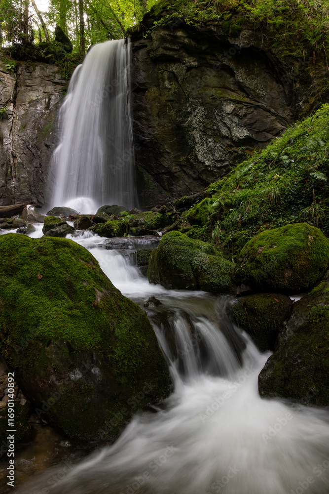 Fototapeta premium long exposure of a scenic waterfall in a mossy green valley in Switzerland