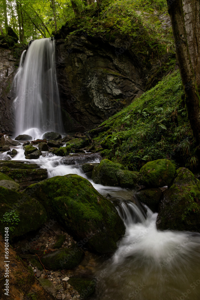 Fototapeta premium long exposure of a scenic waterfall in a mossy green valley in Switzerland