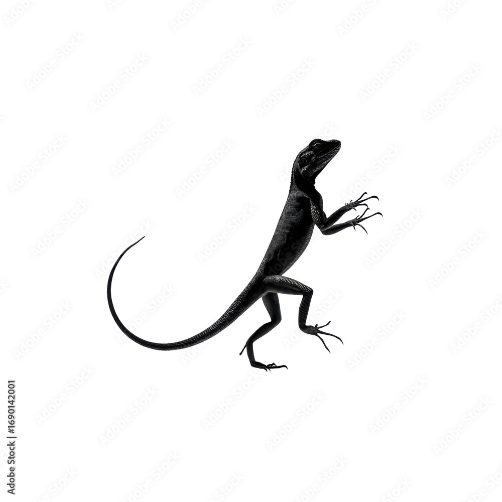 Naklejka premium Majestic Black Lizard in Dramatic Pose High-Resolution Stock Image