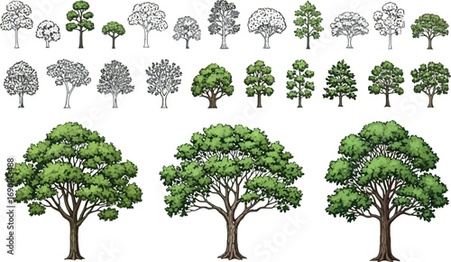 Vector vector art of collection of various tree illustrations, including sketches and realistic depictions, transparent background