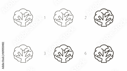 Illustration showing a tree drawing tutorial with six steps to complete the tree outline on a white background