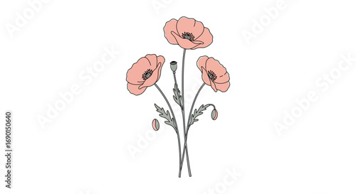 delicate pink poppies with slender stems and green leaves