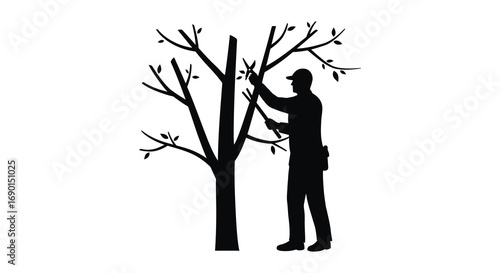 a man pruning branches from a tall tree silhouette