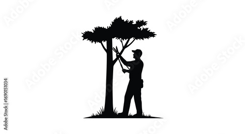 a man pruning branches from a tall tree silhouette