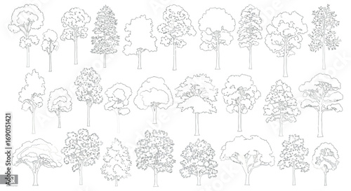 Vector vector art of collection of various tree sketches in different shapes and sizes transparent background