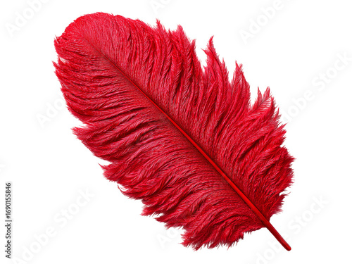 Single vibrant red ostrich feather isolated on black background, Isolated On White Background, Png Transparent