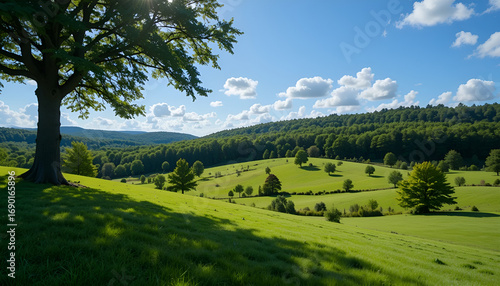 A scenic view of a lush green hillside with trees under a sunny blue sky and scattered white clouds grainy
