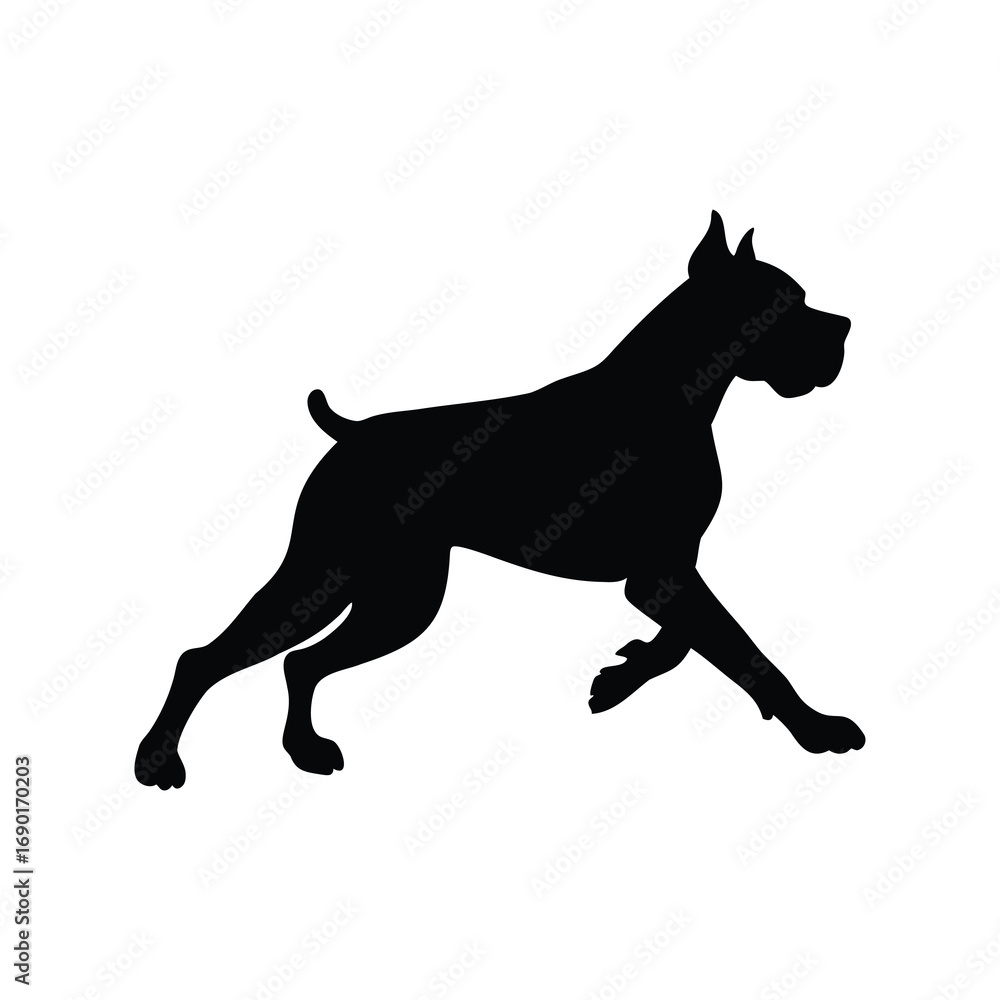 Obraz premium Powerful Boxer Dog Silhouette in Motion, a Study of Strength and Grace, boxer doing roadwork running silhouette vector illustration