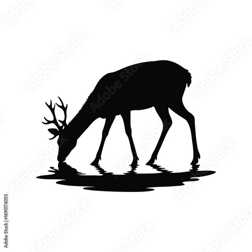A solitary deer silhouette drinks peacefully at a serene watering hole scene, deer drinking from stream silhouette vector illustration