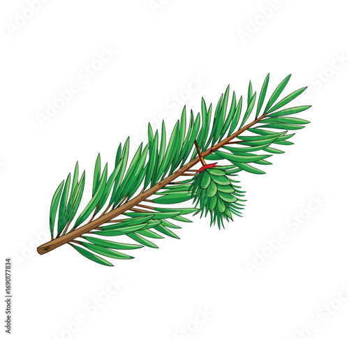 Fresh green pine branch realistic detail natural evergreen foliage isolated on white