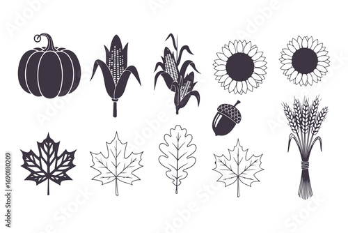 Autumn Harvest and Thanksgiving Elements Vector Illustration