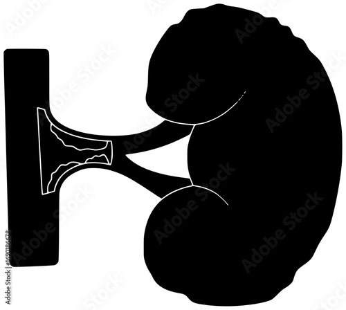 anatomical illustration modern silhouette internal logo intestinal icon intestine outline large man medical medicine organ pain rectum science scientific shape and vector graphic background