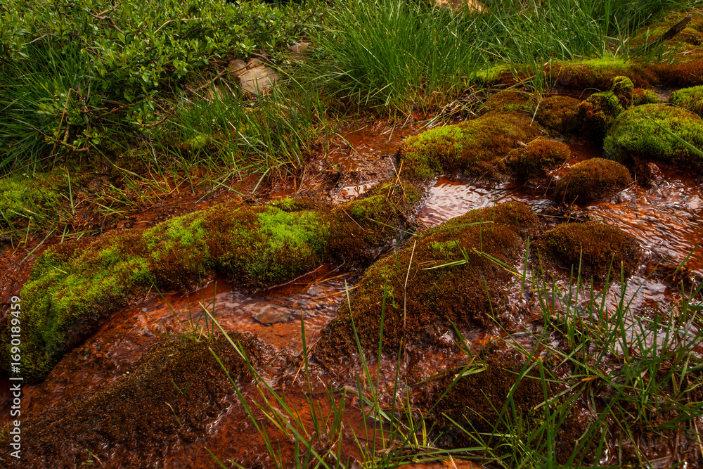 Obraz premium Mineral water in nature