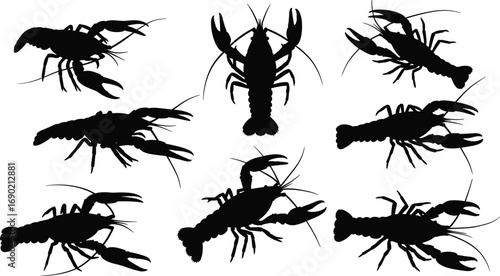 Silhouette set of lobsters, seafood illustration, marine animals, ocean life vector, crustacean design, fishing and culinary concept, black lobster icons isolated on white background