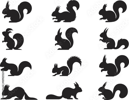 Squirrel silhouette vector set, woodland animal design, forest wildlife illustration, black graphic shapes, sitting and standing rodent, cute cartoon style drawing, isolated icons
