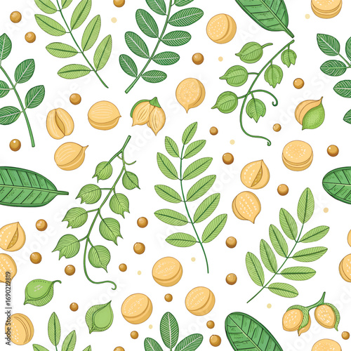 Seamless pattern vector of watercolor chickpeas with pods and foliage