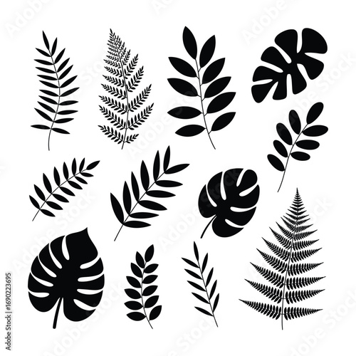 Silhouette set of various tree leaves, vector illustration collection of maple, oak, aspen, fern leaf shapes, black botanical icons for nature and design projects.