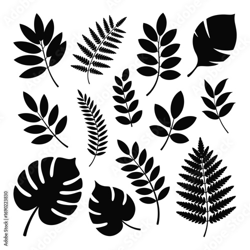 Silhouette set of various tree leaves, vector illustration collection of maple, oak, aspen, fern leaf shapes, black botanical icons for nature and design projects.