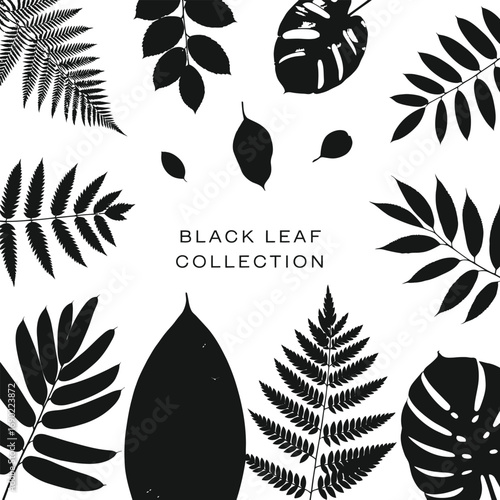 Silhouette set of various tree leaves, vector illustration collection of maple, oak, aspen, fern leaf shapes, black botanical icons for nature and design projects.
