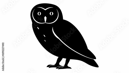 Silhouette of a barn owl with distinctive heart shaped face and dark eyes standing on its feet looking forward