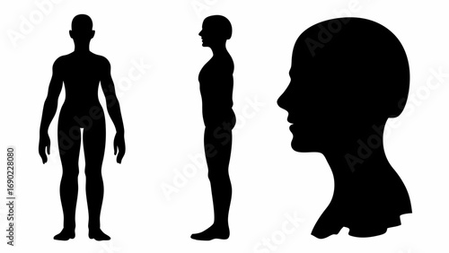 Black silhouettes of a human body in front and side views with a detailed head profile on a white background